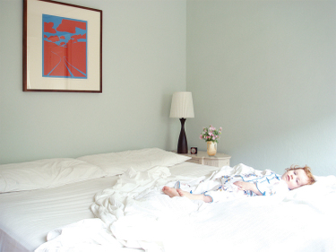 sherwinwilliams "window pane"