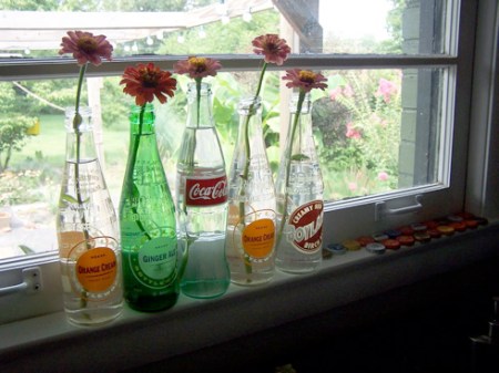 zinnia bottles