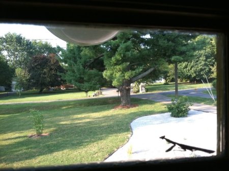 309972_10150355981503200_651413199_9810587_7525465_n