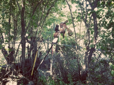 543570_10150915565898171_1021363759_n