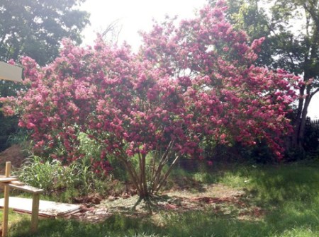 20 185955_10151018914133171_940905202_n