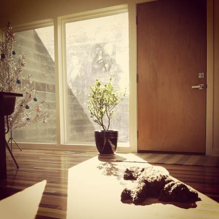 556353_10151354897403200_2135419377_n