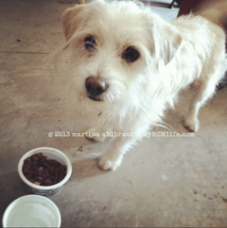 Screen shot 2013-03-08 at 1.38.23 PM