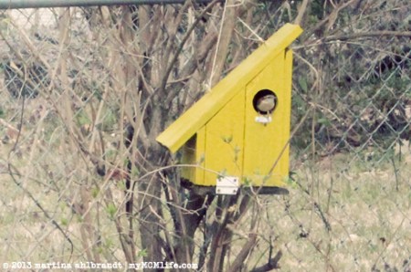 Mid-Century Modern Birdhouse - myMCMlife.com