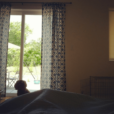 Screen Shot 2013-06-26 at 3.30.51 PM