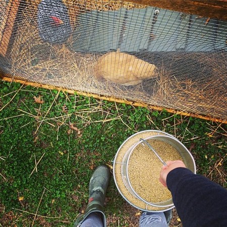 Screen Shot 2014-04-04 at 9.18.38 AM