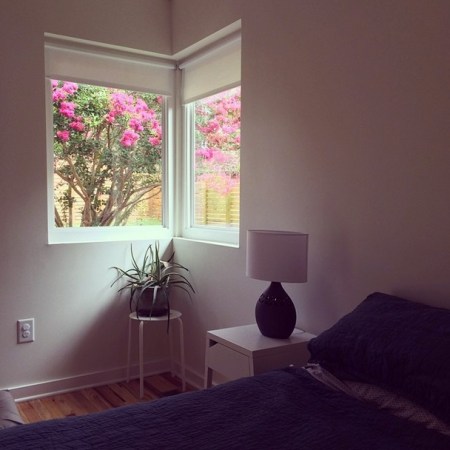 Screen Shot 2014-07-18 at 11.42.46 AM