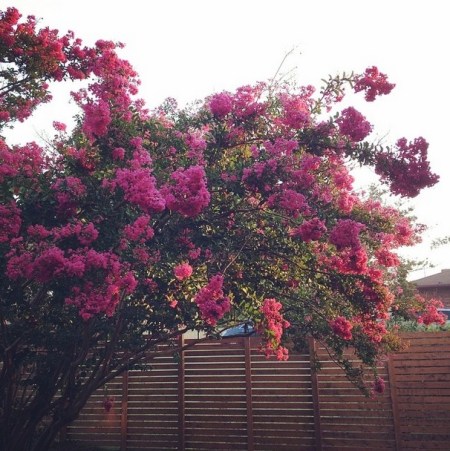 Screen Shot 2014-08-12 at 4.17.12 PM