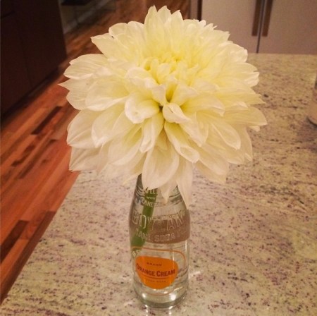 Screen Shot 2014-08-12 at 4.17.47 PM