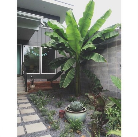 Screen Shot 2014-08-12 at 4.18.06 PM