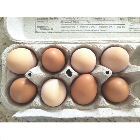 Screen Shot 2014-08-12 at 4.18.18 PM