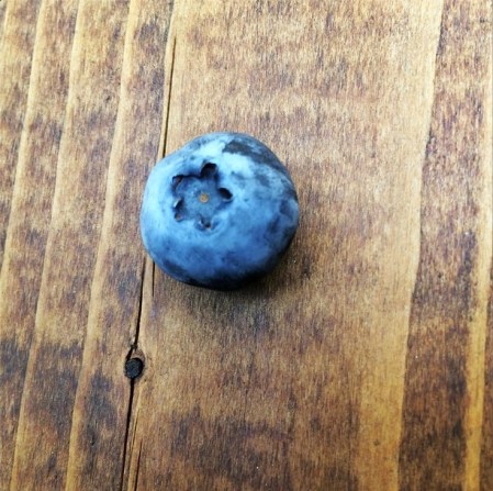 Screen Shot 2014-08-22 at 9.44.52 AM