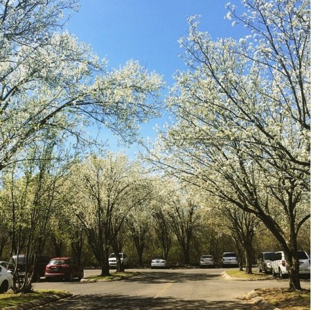 Screen Shot 2015-04-02 at 3.14.25 PM