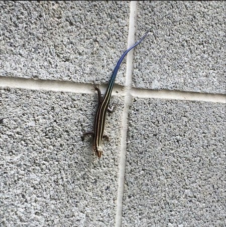 Screen Shot 2015-04-15 at 4.03.06 PM